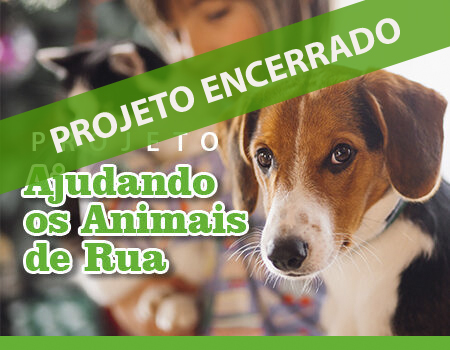 Ajudando os Animais de Rua