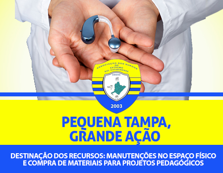 Pequena Tampa, Grande Ação